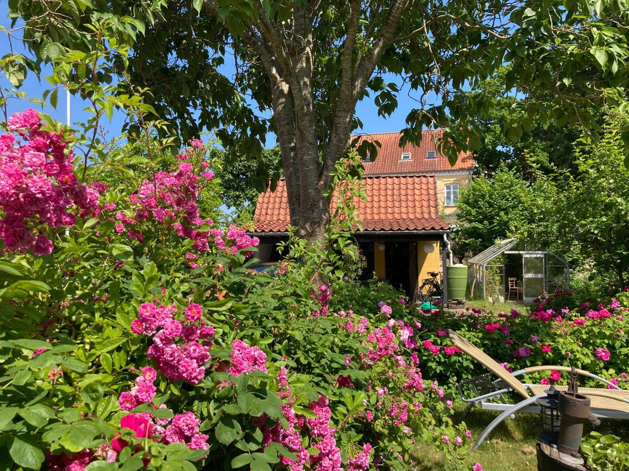 Den Gamle Skomager Hytte Ved Slotssoen Gråsten Kültér fotó